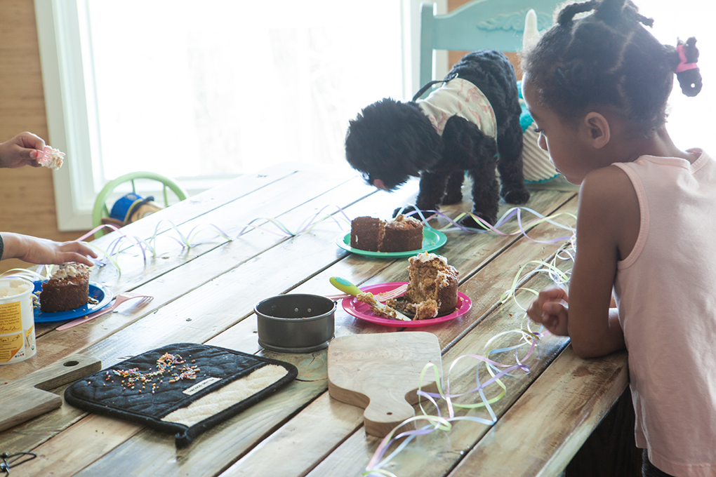 Puppy's First Birthday athymeformilkandhoney.com dog cake