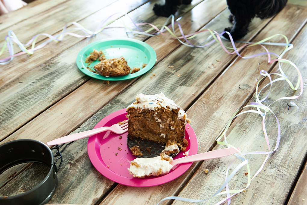 Puppy's First Birthday athymeformilkandhoney.com gluten-free cake